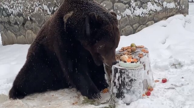 Зоопарк архивӗнчи сӑнӳкерчӗк