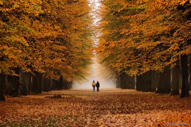 ru.pinterest.com сайтри сӑн