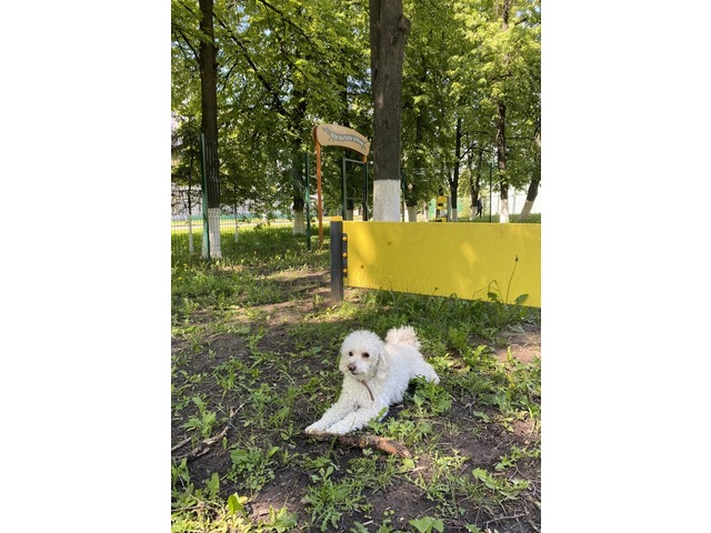 forum.na-svyazi.ru сӑнӳкерчӗкӗ