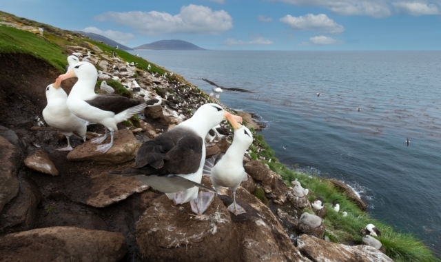 © Shutterstock/FOTODOM