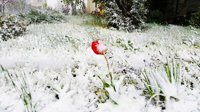 chausynews.by сайтри сӑн