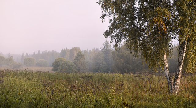 photocentra.ru сайтри сӑн